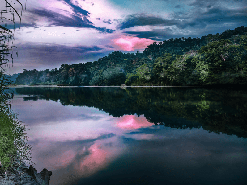 Rondreis Peru driedaagse excursie Manu National Park